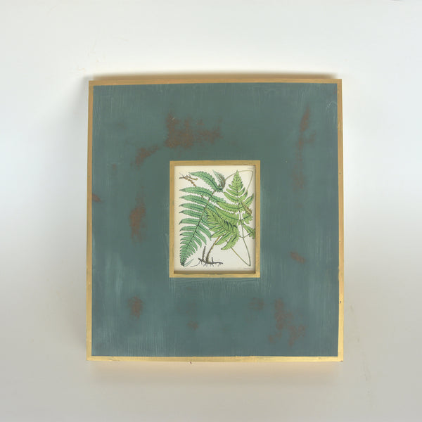 Vintage Wood-Block Engraving on Paper 02 - British Ferns