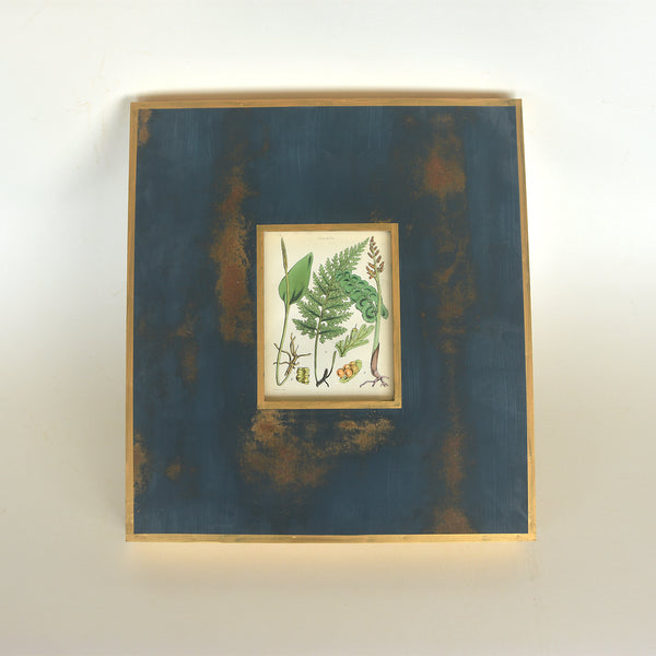 Vintage Wood-Block Engraving on Paper 04 - British Ferns