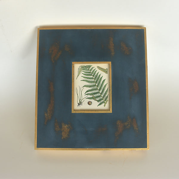 Vintage Wood-Block Engraving on Paper 06 - British Ferns